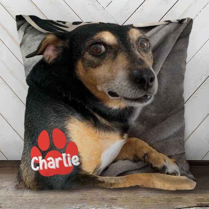 Pet's Face On A Pillow - Personalized Pillow