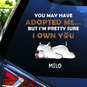 You May Have Adopted Me, But I'm Pretty Sure I Own You - 3D Dog Personalized Decal/Sticker