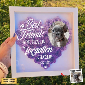 Once By My Heart - Personalized Memorial Flower Shadow Box, Sympathy Gifts For Loss Of Pets