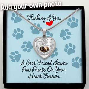 I'll Hold You In My Heart Personalized Pet Memorial Necklace